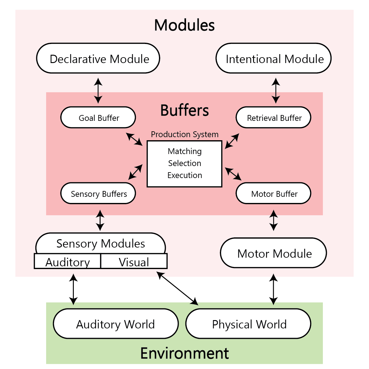 Diagram of the ACT-R cognitive architecture showing modules connected through buffers to a central procedural system