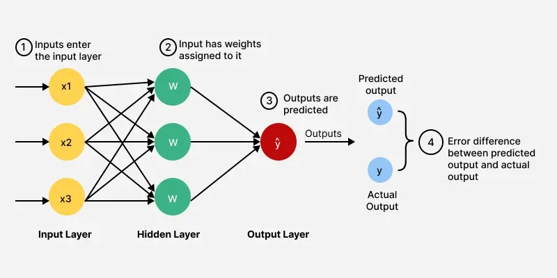 A feedforward neural network with an input layer, two hidden layers, and an output layer, fully connected